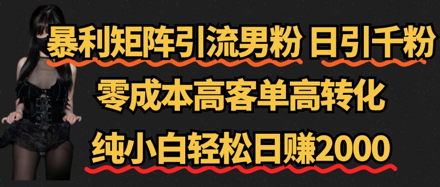 暴利矩阵引流男粉（日引千粉），零成本高客单高转化，纯小白轻松日赚2000+-千图副业网