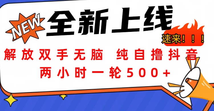 解放双手无脑 纯自撸抖音 两小时一轮500+-千图副业网