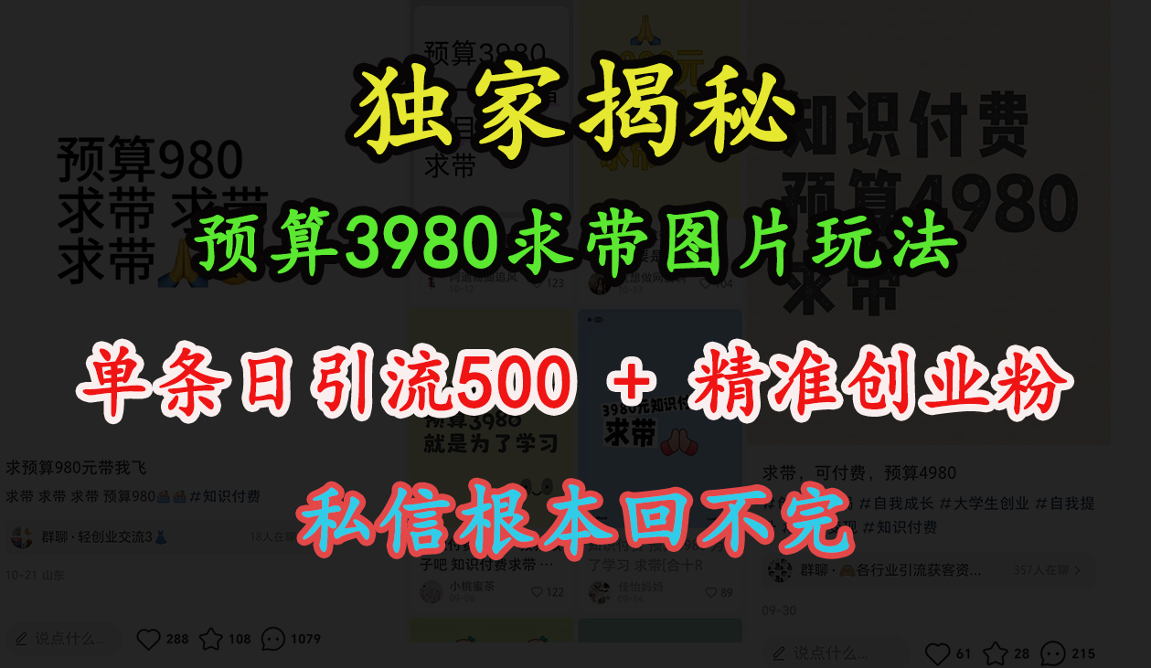 “小红书”预算3980求带 图片玩法，单条日引流500+精准创业粉，私信根本回不完-千图副业网