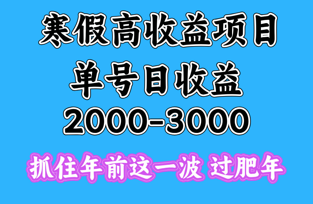 寒假期间一天收益2000-3000+，抓住年前这一波-千图副业网