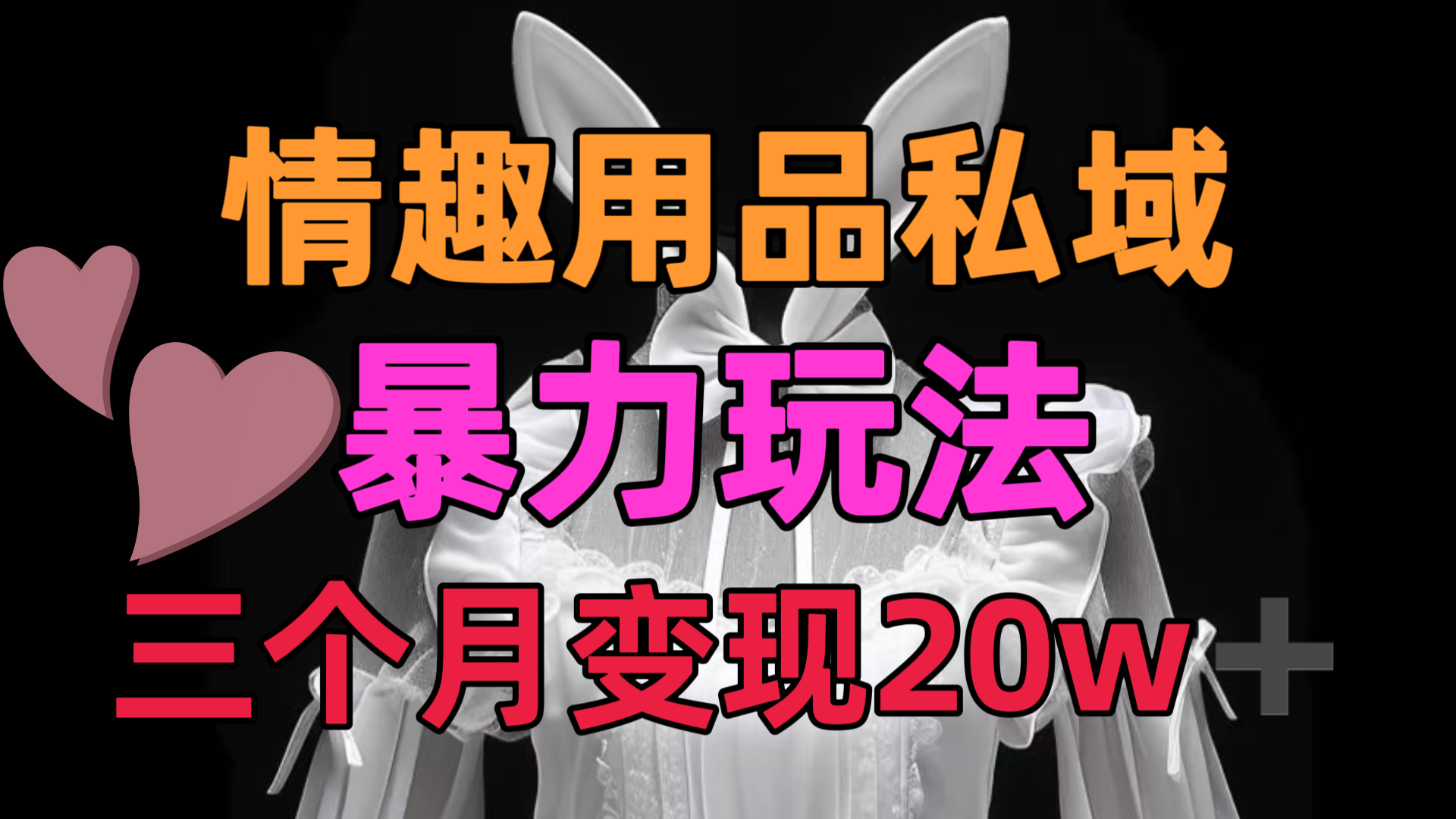 情趣用品私域，25年最新暴力玩法，三个月变现20w➕-千图副业网