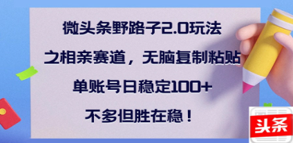 全网首发微头条野路子2.0玩法之相亲赛道，无脑搬砖复制粘贴，单账号日稳定300+保姆级教程-千图副业网