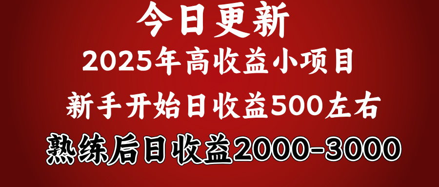 2025开年好项目，新手日收益500+ 熟练掌握后，日收益平均2000多-千图副业网