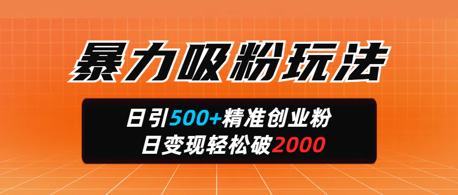 暴力吸粉玩法，日引500+精准创业粉，日变现轻松破2000-千图副业网